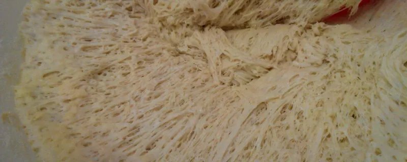 发面发好了是什么样子