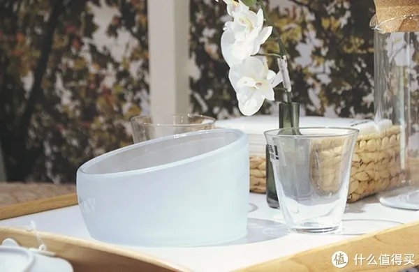 宠物碗怎么选择