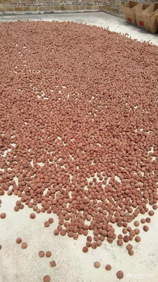 你们农村致富故事有哪些？