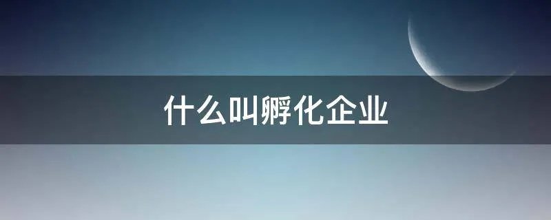 什么叫孵化企业