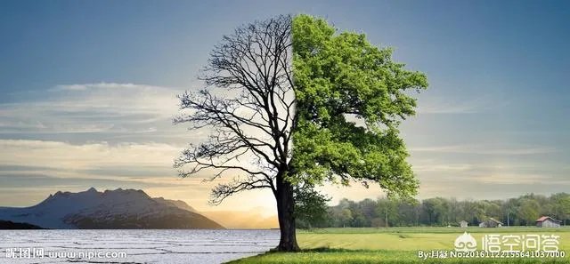 四川一岁幼童被生父扔下六楼死亡，据说是因为孩子生父被父母指责没用，这事你怎么看？