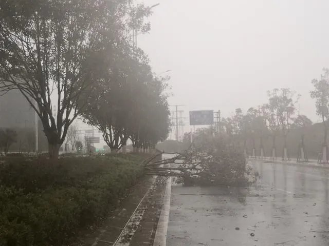 在3月31日凌晨,南昌突降大冰雹, 冰雹天出行该注意些什么?