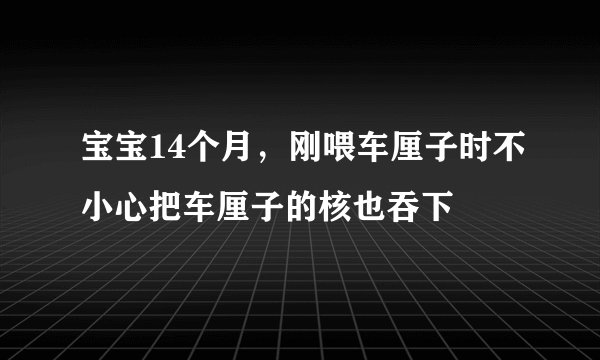 宝宝14个月，刚喂车厘子时不小心把车厘子的核也吞下