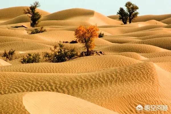 新疆塔克拉玛干沙漠能去旅游吗?