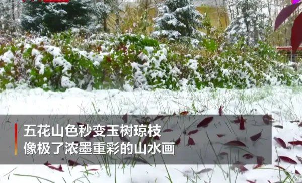 中国最冷小镇秋天第一场雪积雪6cm厚，它最冷的时候有多冷？