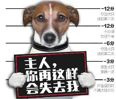 济南养犬积分制是怎么回事?