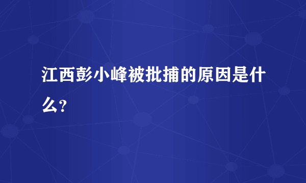 江西彭小峰被批捕的原因是什么？
