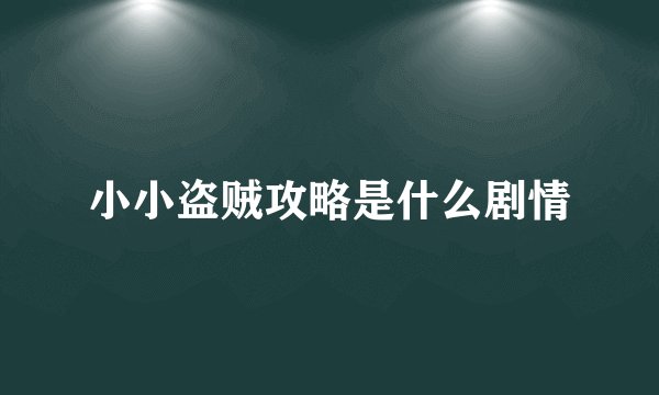 小小盗贼攻略是什么剧情