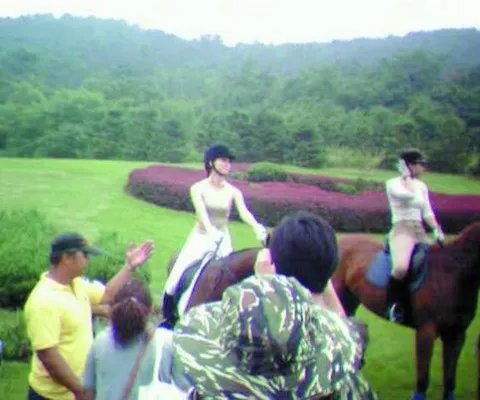 林志玲坠马爆胸事件揭秘 引发了网友对她真假胸的讨论