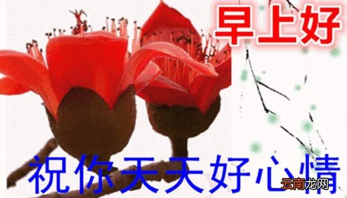 亲爱的最美早晨好动态图片大全 情人早上问候语动态图片