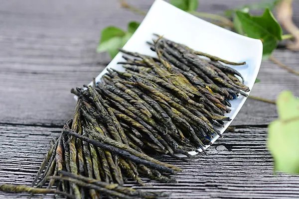 苦丁茶的功效与作用及禁忌