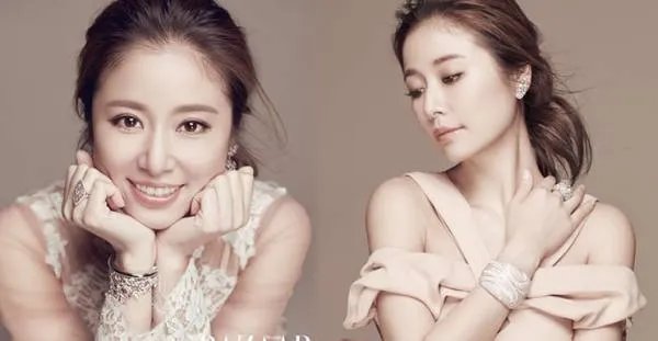 林心如诈捐门事件