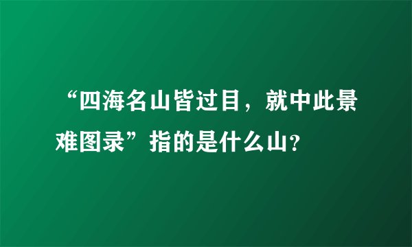 “四海名山皆过目，就中此景难图录”指的是什么山？