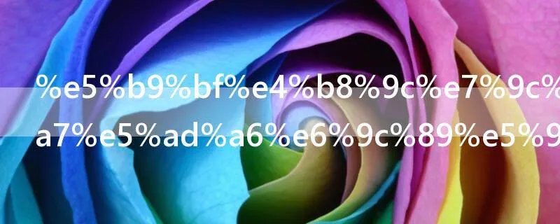 广东省2b的大学有哪些