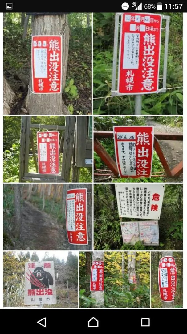 中国女教师独自出游日本失联，日本方面应该做什么？