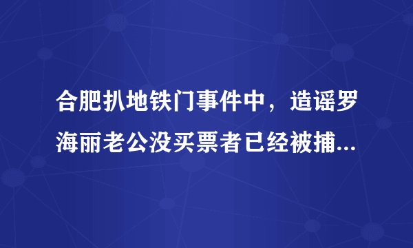 合肥扒地铁门事件中，造谣罗海丽老公没买票者已经被捕，对此你怎么看？