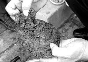 “太岁”究竟是什么神秘“太岁”的真面目