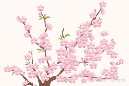 去亲戚家拜年,应该注意什么