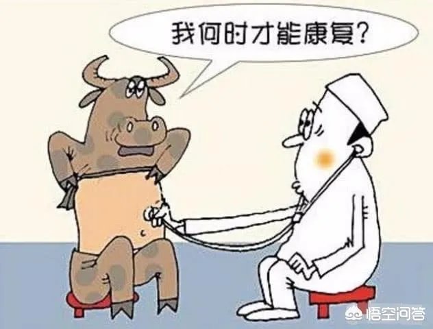 股票的领涨板块都有什么特征？