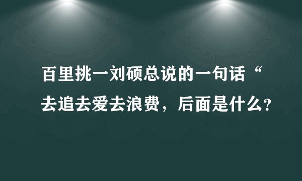 百里挑一刘硕总说的一句话“去追去爱去浪费，后面是什么？