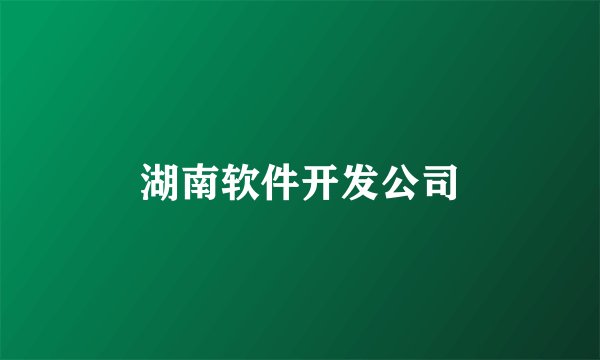 湖南软件开发公司