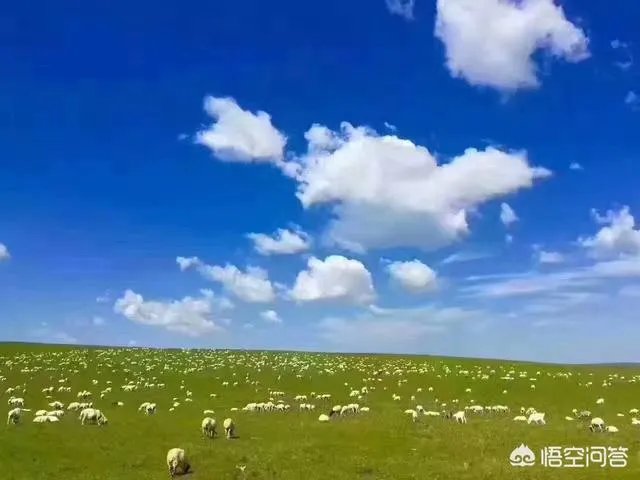 为什么呼伦贝尔只有两个月的旅游旺季,和别的月份有什么区别?