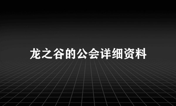龙之谷的公会详细资料