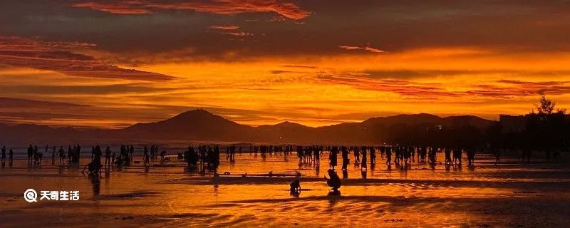 很现实的人生感悟说说