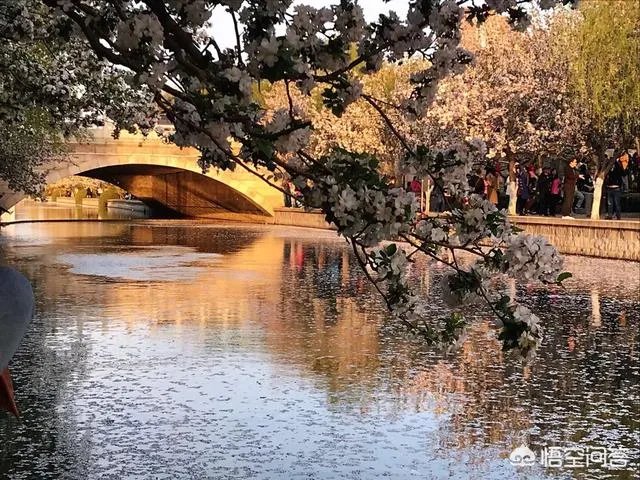 春风十里不如赏花，北京赏花指南是什么？
