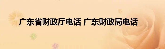 广东省财政厅电话 广东财政局电话
