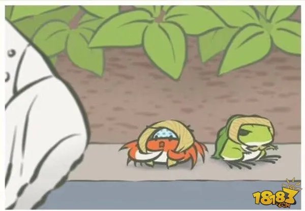 旅行青蛙图片明信片汇总 旅行青蛙相册大全