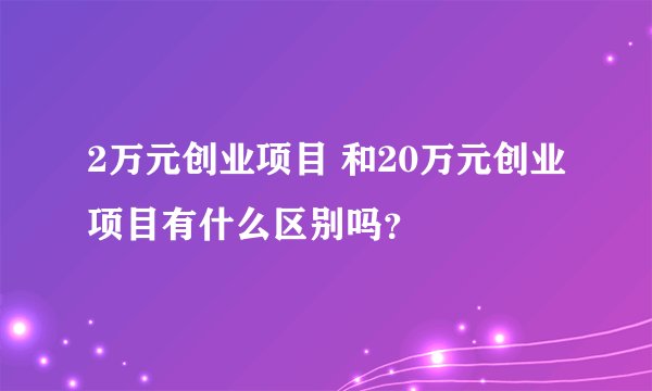 2万元创业项目 和20万元创业项目有什么区别吗？