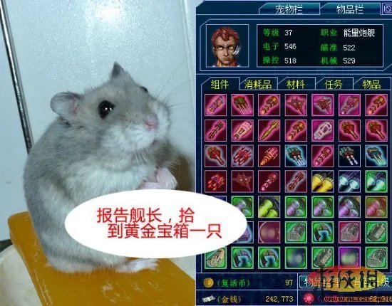 玩家制造：《雷电online》新宠物灰雷雷