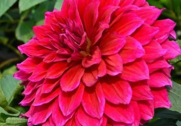 21年9月份黄道吉日查询