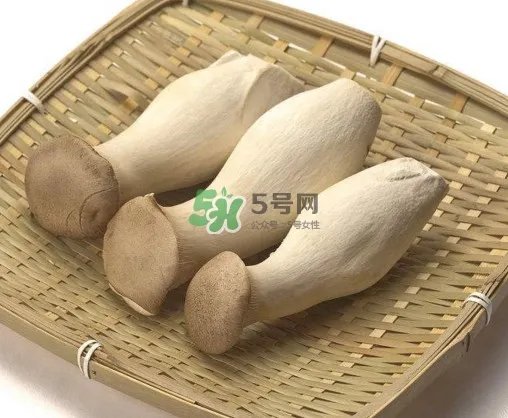 杏鲍菇有什么营养价值？杏鲍菇产地在哪里