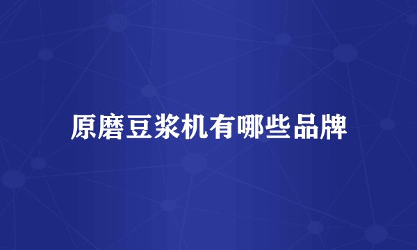 原磨豆浆机有哪些品牌