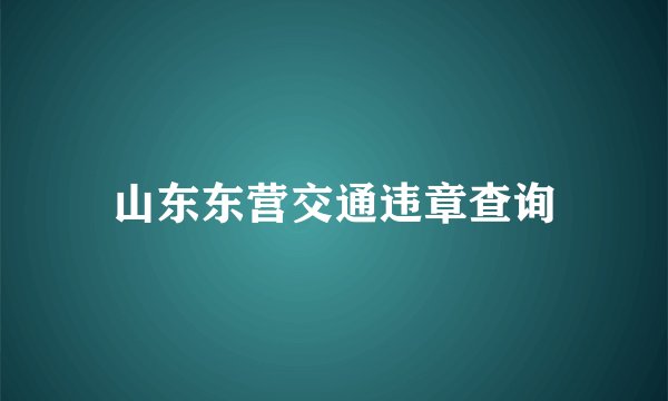 山东东营交通违章查询