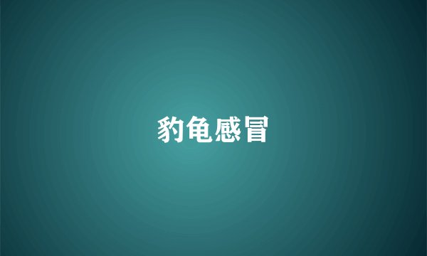 豹龟感冒