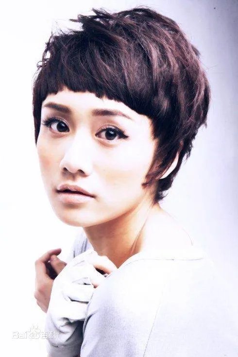 刘芸近期主演的电视剧有哪些