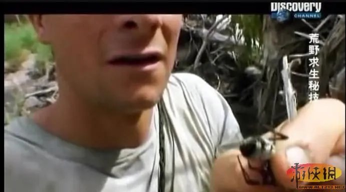 饭前饭后勿入:舌尖上的贝爷你敢吃其中几样?