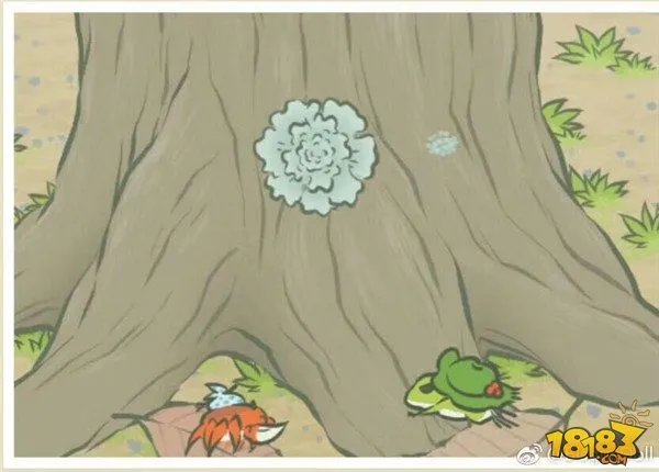 旅行青蛙图片明信片汇总 旅行青蛙相册大全