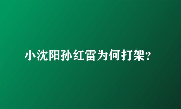 小沈阳孙红雷为何打架？