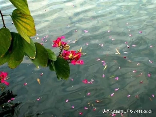 《黄鹤楼》这首诗有什么意境？