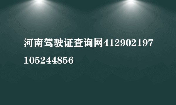 河南驾驶证查询网412902197105244856