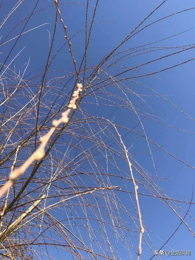 高考仅剩一百天，成绩中等的学生拼一个二本有可能吗？