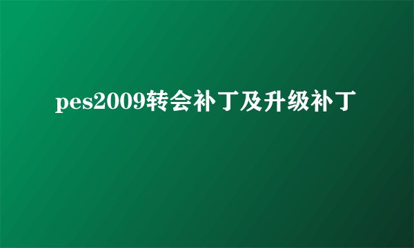 pes2009转会补丁及升级补丁
