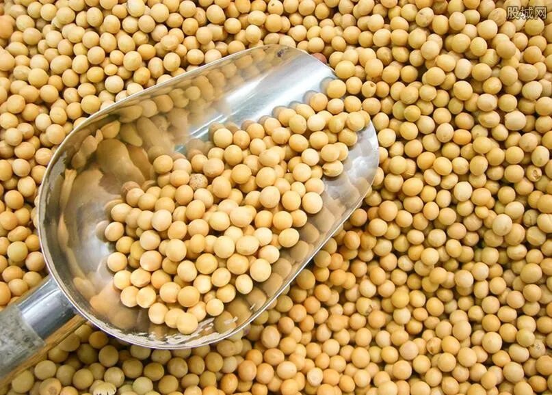 中国一定要买美国大豆吗 为何每年进口那么多？