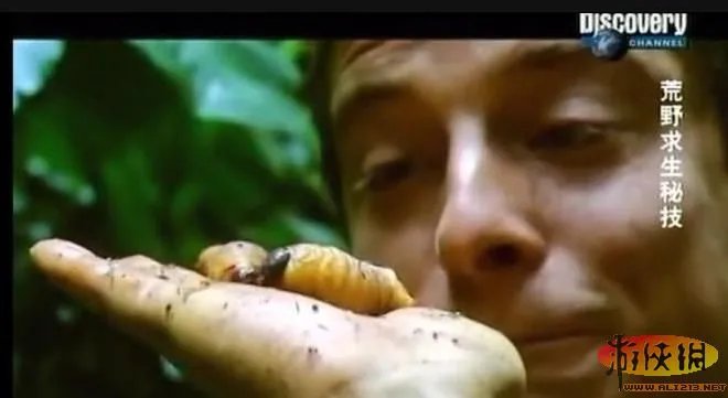 饭前饭后勿入:舌尖上的贝爷你敢吃其中几样?