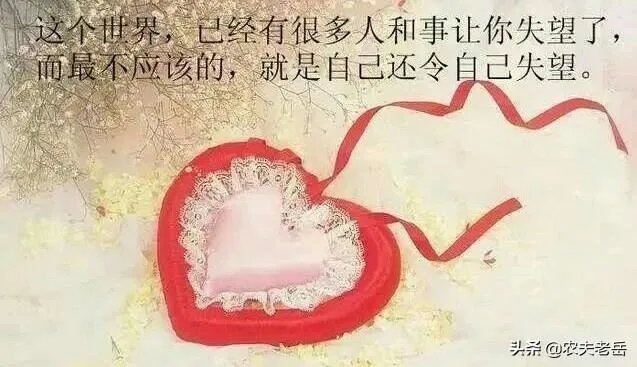 全国离婚率连续上涨的原因是什么？你怎么看待现在婚姻问题？