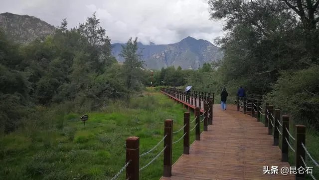 怎么看待今年在拉萨举行的半程马拉松?